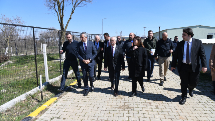 Keşan’da sokak hayvanları için 50 bin metrekarelik doğal yaşam alanı kurulacak
